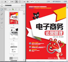 《電子商務(wù)企業(yè)運(yùn)營管理培訓(xùn)與服務(wù) 216頁精要指南》