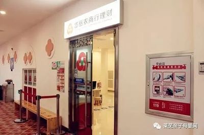 萊蕪周邊最具吸引力親子項(xiàng)目推薦 旅行社服務(wù)助你輕松遛娃